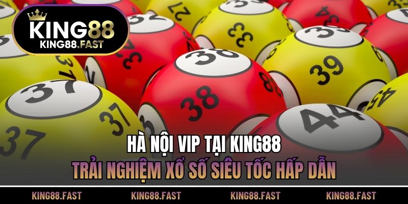 Hà Nội VIP