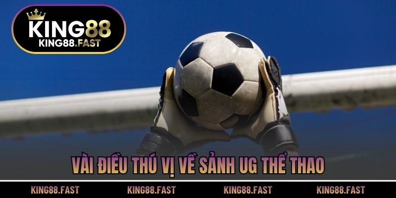 Vài điều thú vị về sảnh UG thể thao